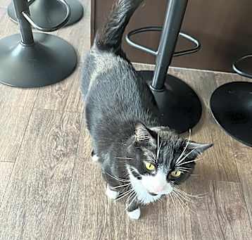 Photo of Bruce