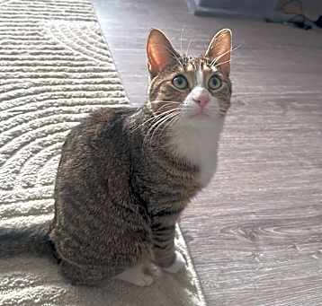 Photo of Pablo
