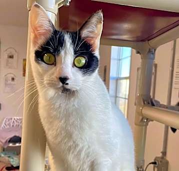 Photo of Bug