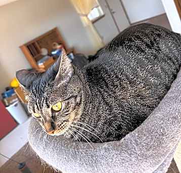 Photo of Punkin