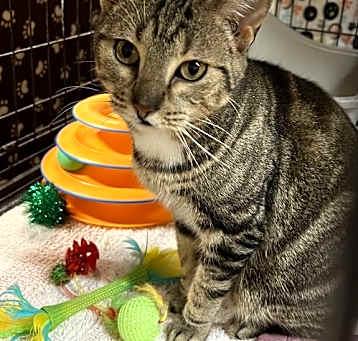 Photo of Mia