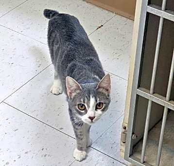 Photo of Lilith