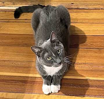 Photo of Tootsie