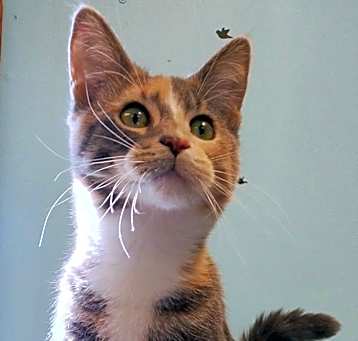 Photo of Beatrice