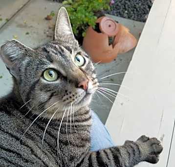 Photo of Munchie bonded with Mama Mia