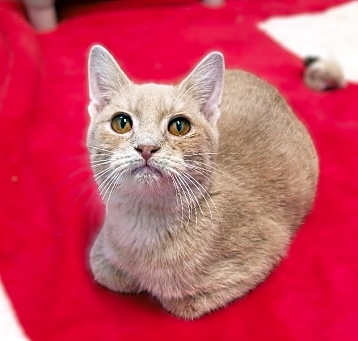 Photo of Rudy
