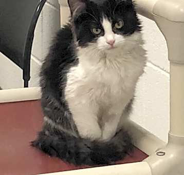 Photo of Snickers
