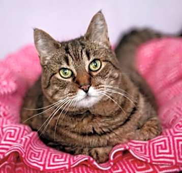 Photo of Alice
