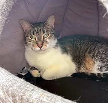 Photo of Miko
