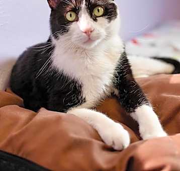 Photo of Monji