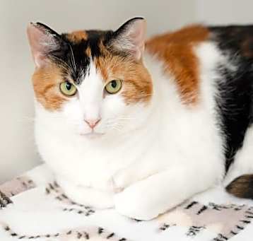 Photo of Mable