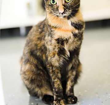 Photo of Vivie