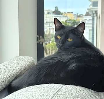 Photo of Mooshu