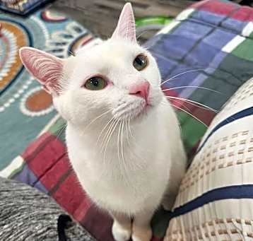 Photo of Nora