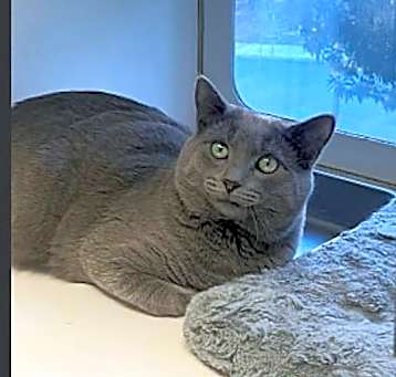 Photo of Asher
