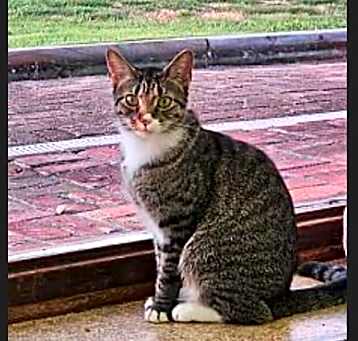 Photo of Tiny