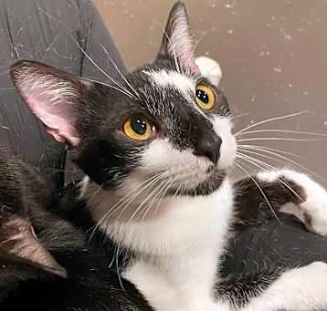 Photo of Oliver