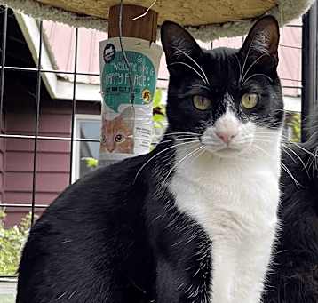 Photo of Oscar