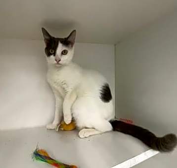 Photo of Sienna (Fee Waived)
