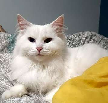 Photo of June