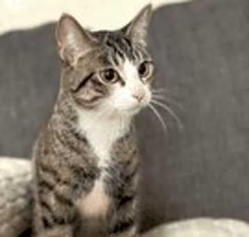 Photo of Candy