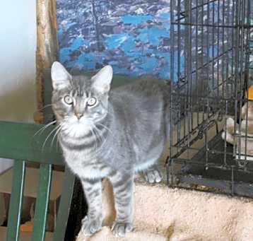 Photo of Tuffy
