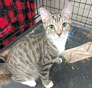 Photo of Digit