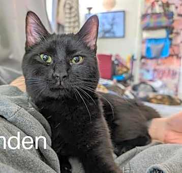 Photo of Camden