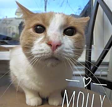 Photo of Molly