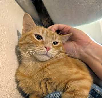 Photo of Pumpkin and Spice