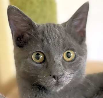 Photo of Maurice