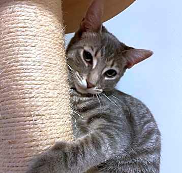 Photo of Bella 3