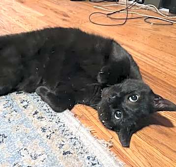 Photo of Mia