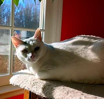Photo of Lucky