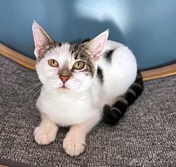 Photo of Harper
