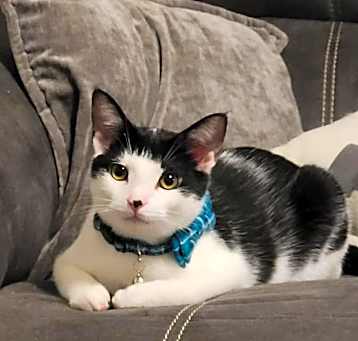 Photo of Willie
