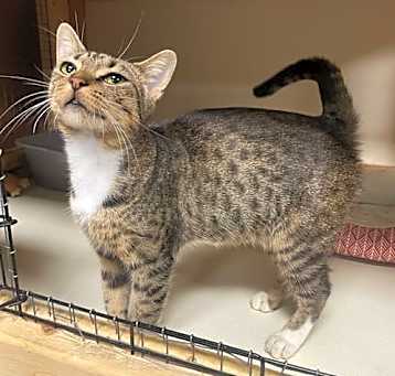 Photo of Tiny