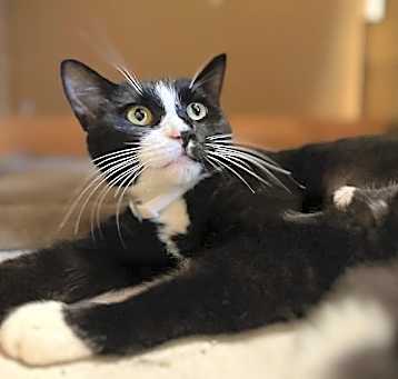 Photo of Boots