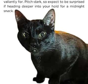 Photo of Shadow Reaper
