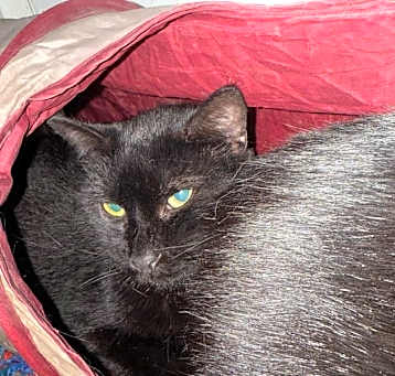 Photo of Fiona