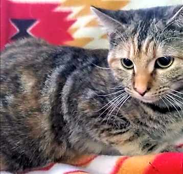 Photo of Sonya