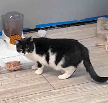 Photo of Wilma