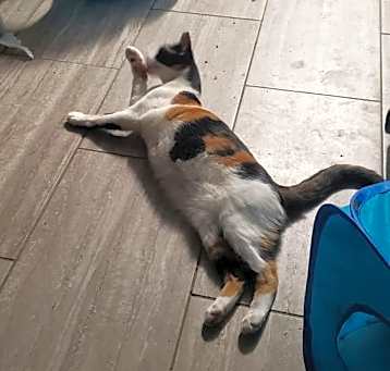 Photo of Mimi