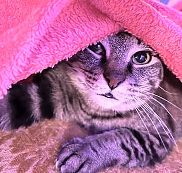 Photo of Linda