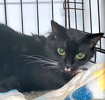 Photo of Darla