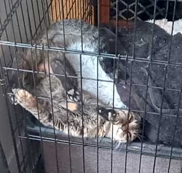 Photo of Mama Anise