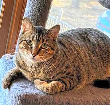 Photo of Pepper