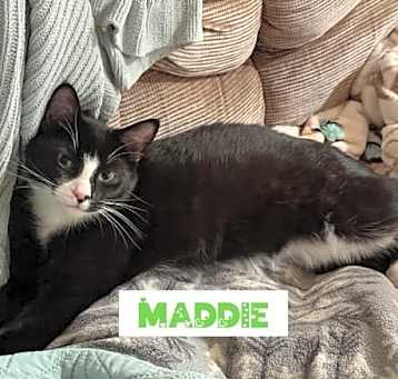 Photo of Maddie