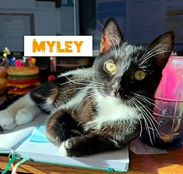 Photo of Myley