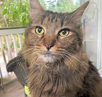 Photo of Lily